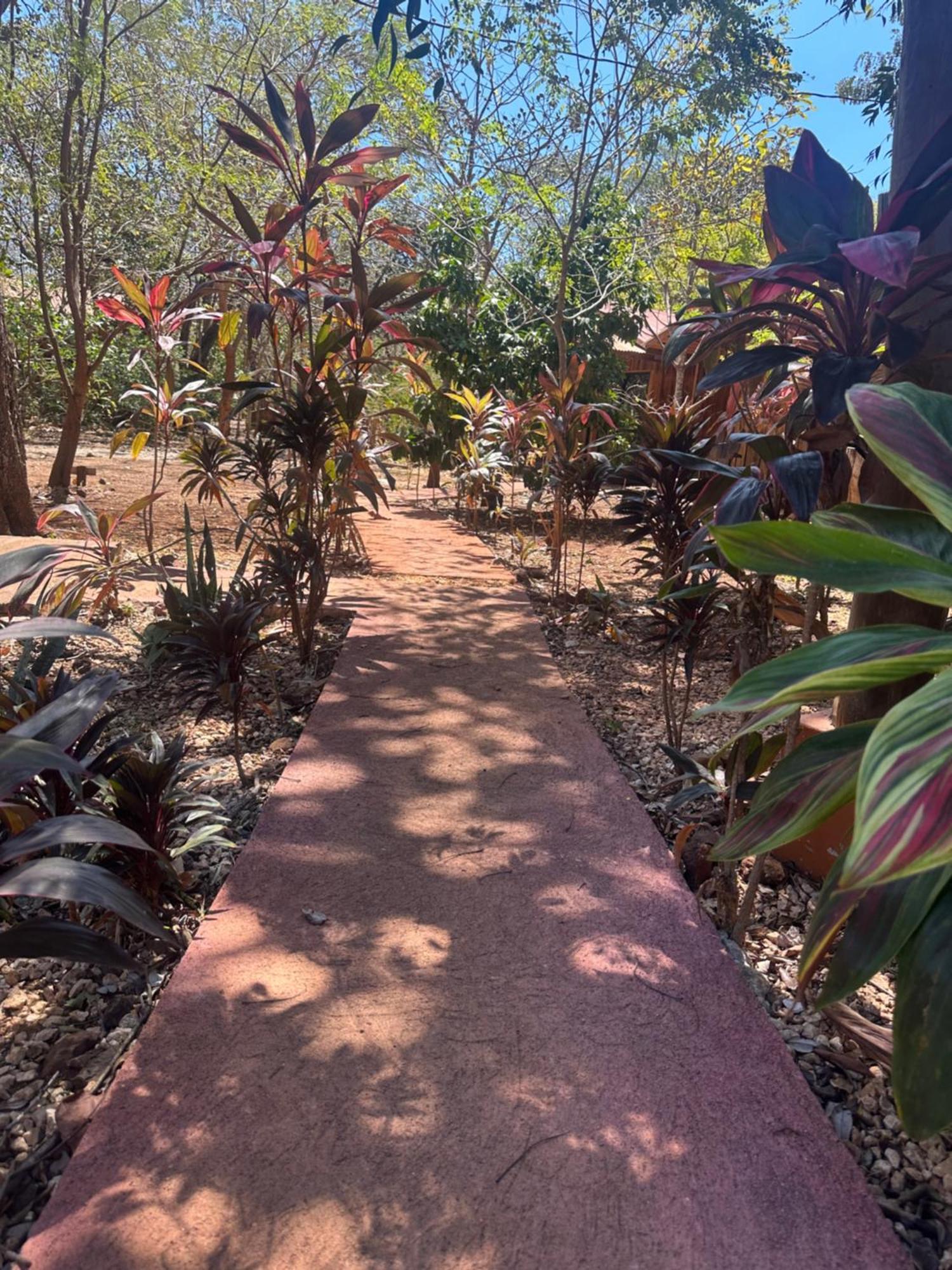 Finca Avellanas Lorena Buitenkant foto