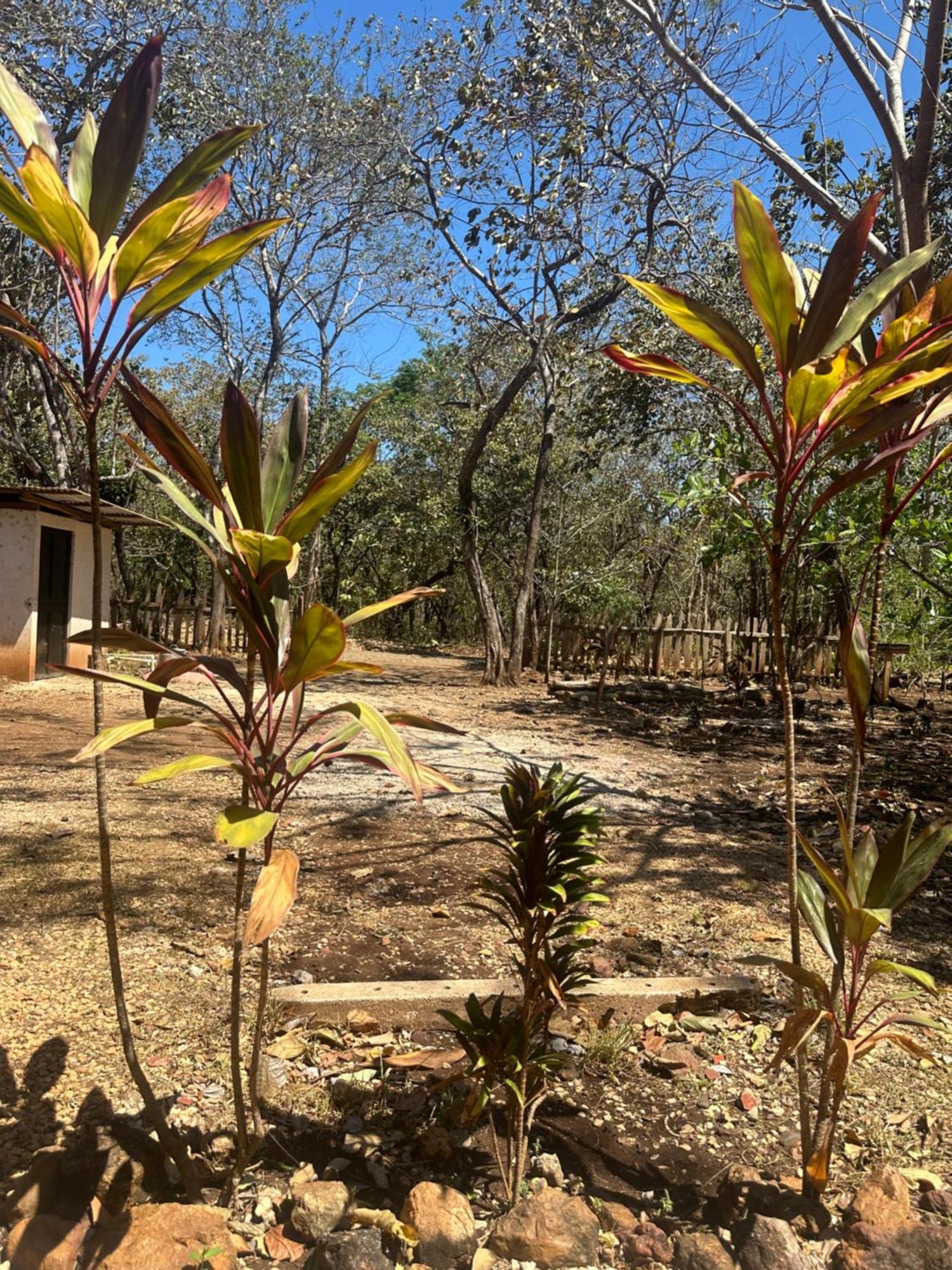 Finca Avellanas Lorena Buitenkant foto