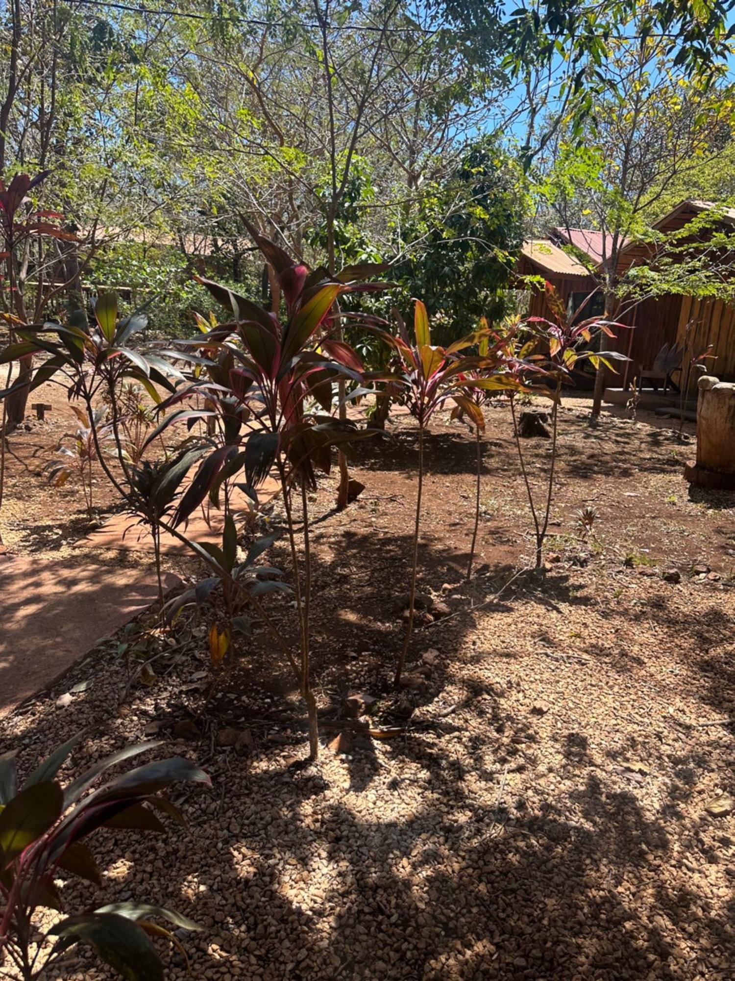 Finca Avellanas Lorena Buitenkant foto