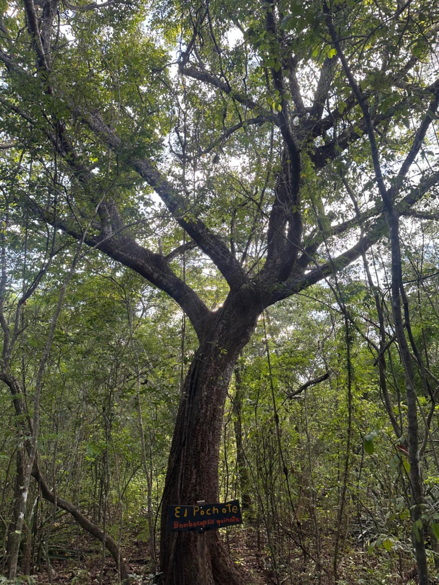 Finca Avellanas Lorena Buitenkant foto