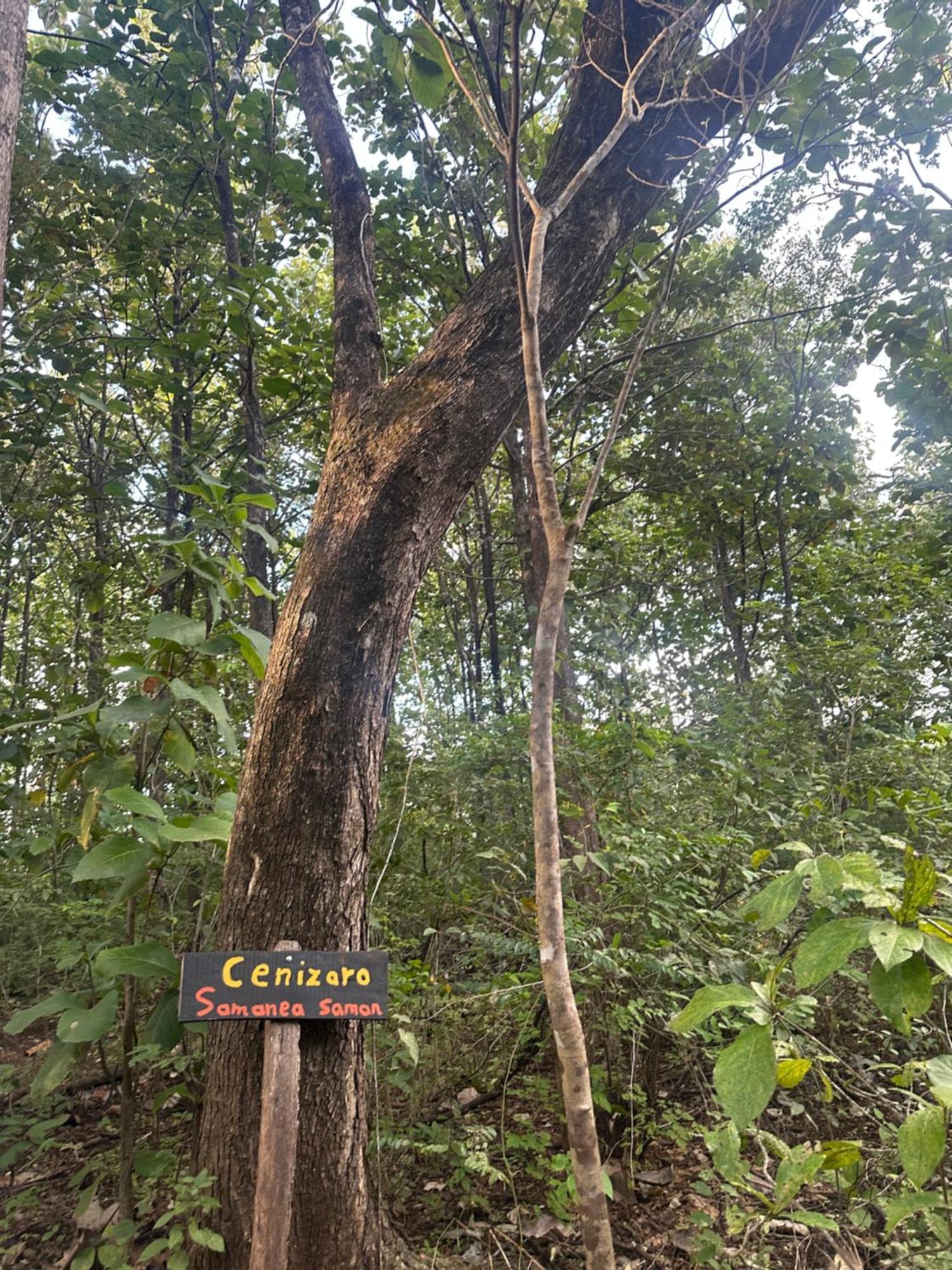 Finca Avellanas Lorena Buitenkant foto