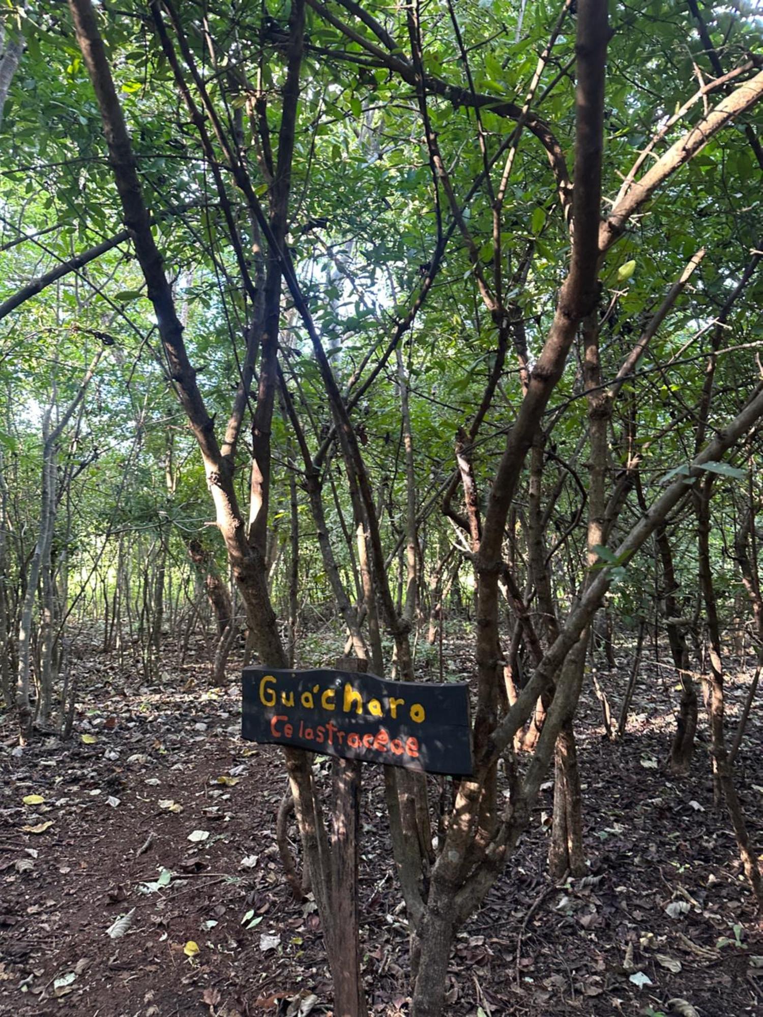Finca Avellanas Lorena Buitenkant foto